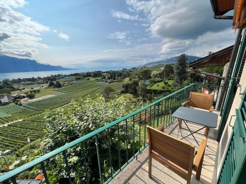 La Vigneronne, Uitzicht Op Het Meer Arlesheim Exterior foto